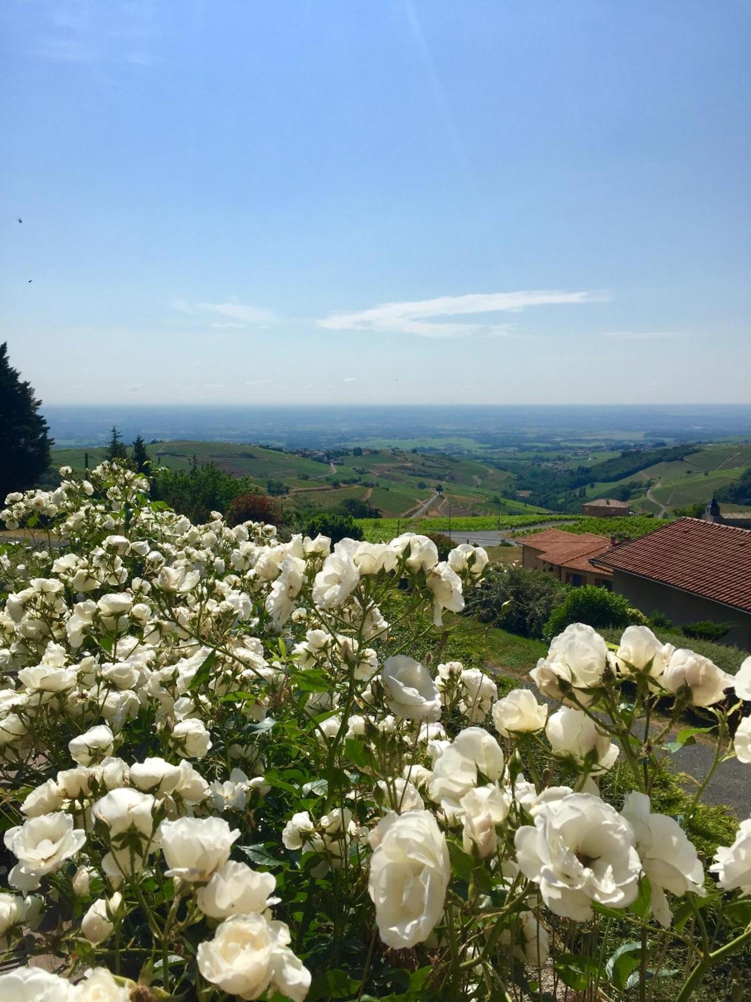 Bed and Breakfast Le Balcon Du Fetre Chiroubles Экстерьер фото