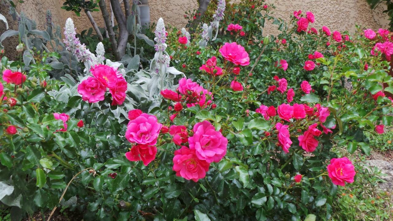 Bed and Breakfast Le Balcon Du Fetre Chiroubles Экстерьер фото